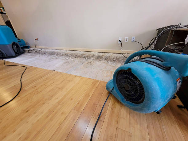 Professional Structural Drying technician working in Hollandale, MS